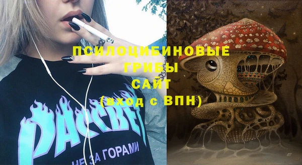 mdma Няндома