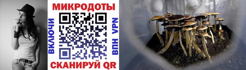 Галлюциногенные грибы Psilocybe  нарко площадка формула  Усть-Джегута 