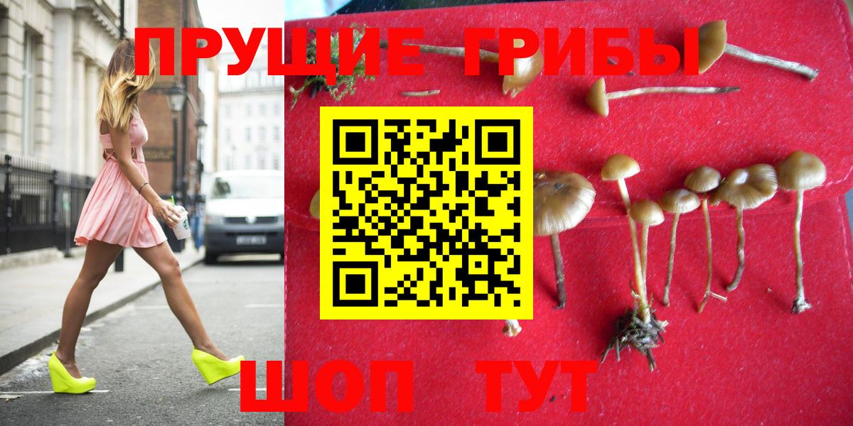 Галлюциногенные грибы ЛСД Усть-Джегута