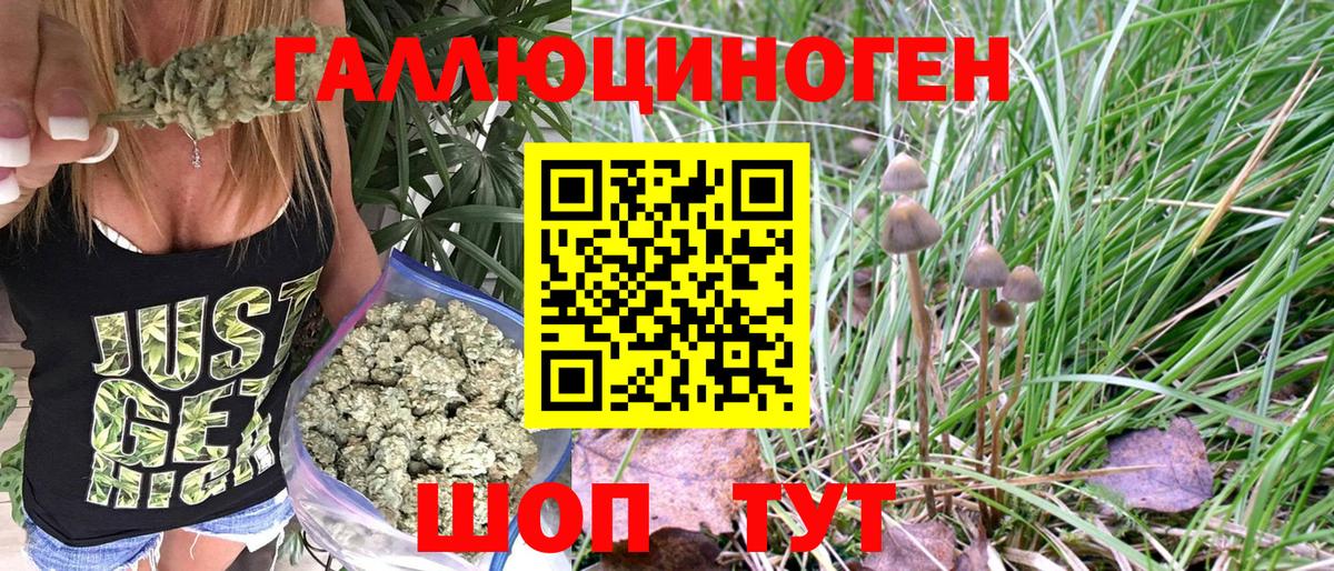Галлюциногенные грибы MAGIC MUSHROOMS  Галлюциногенные грибы мухоморы  Усть-Джегута  Вход с VPN 
