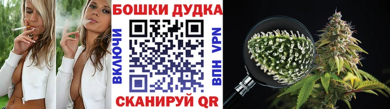 Бошки марихуана Amnesia  Усть-Джегута 